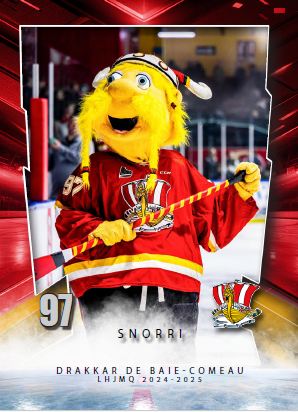 Cartes de hockey saison 2024-2025 (Série complète)